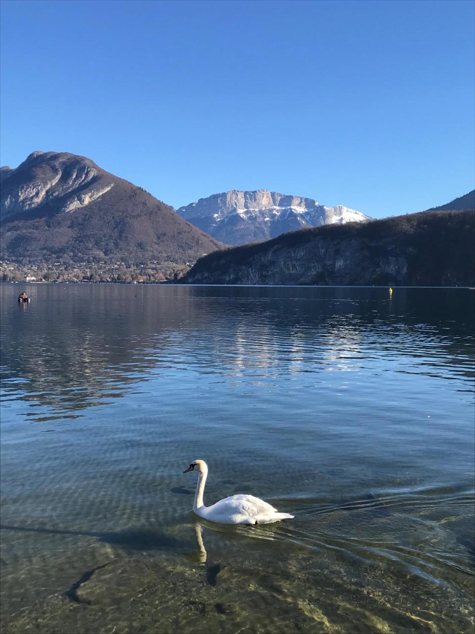 La Maison Du Port, Une Exclusivite Lla Selections By Location Lac Annecy Saint-Jorioz Eksteriør billede